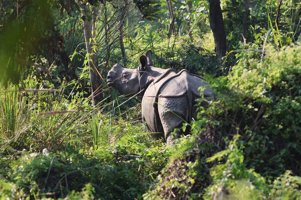 Bharatpur